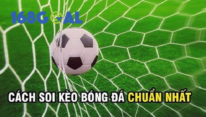Cá độ bóng đá hiện đang là game rất hot, mang tính kích thích cao, đem lại lợi nhuận lớn.
