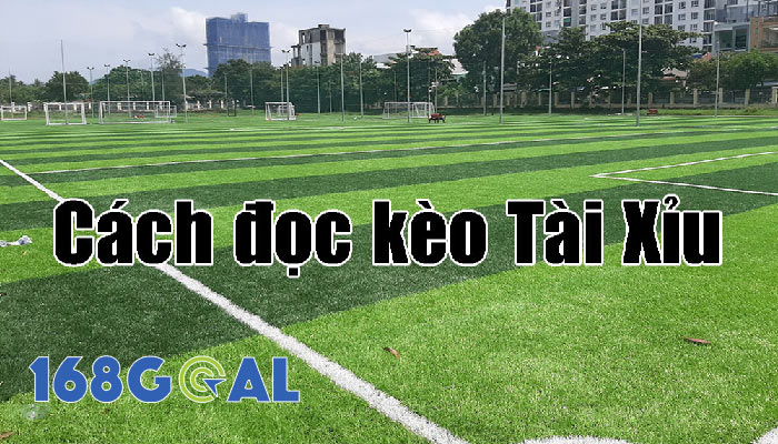 Tỷ lệ cược Tài Xỉu 1 ¼ là một mức cược rất phổ biến trong làng cá độ bóng đá hiện nay.